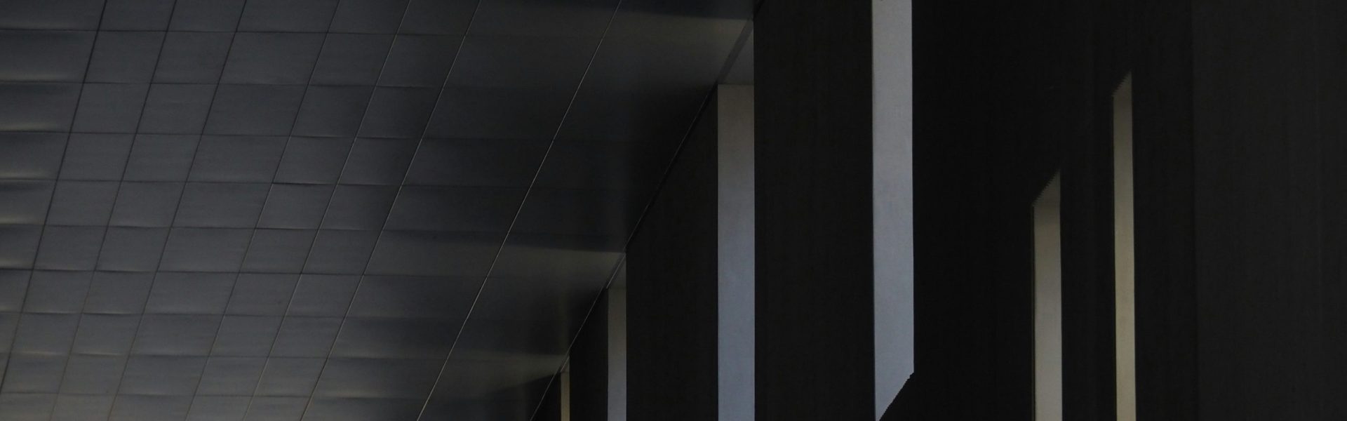 rafael-garcin-KiM5JCruq7U-unsplash rafael-garcin-KiM5JCruq7U-unsplash